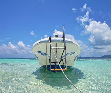 船乗りのために作られたデッキシューズは、
今では通年使える定番の一足になりました。